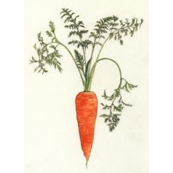 September 9 - October 6  Veggiestrology card 