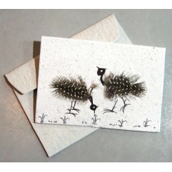 Malawian Guinea Fowl card