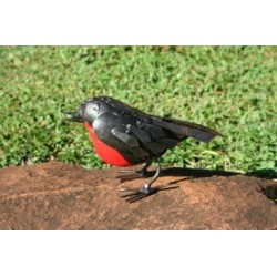 Robin Red Breast